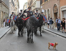 220525 132 Piazza di Siena Sfilata Polo foto Simone Ferraro - Sport e Salute SFZ_2624 copia